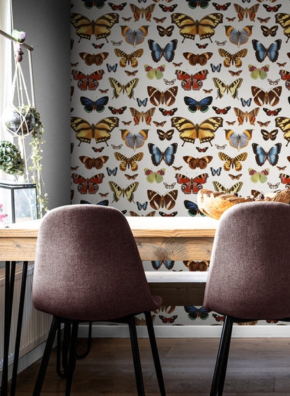 Removable Wallpaper with Butterfly