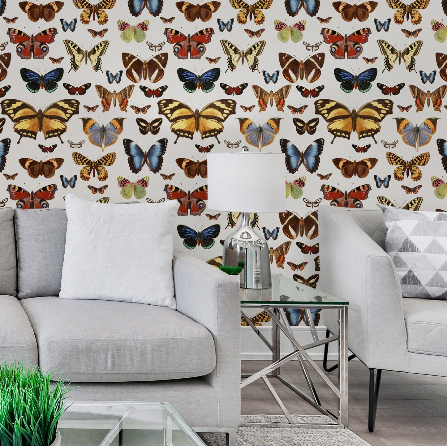 Removable Wallpaper with Butterfly