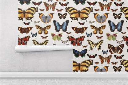 Removable Wallpaper with Butterfly