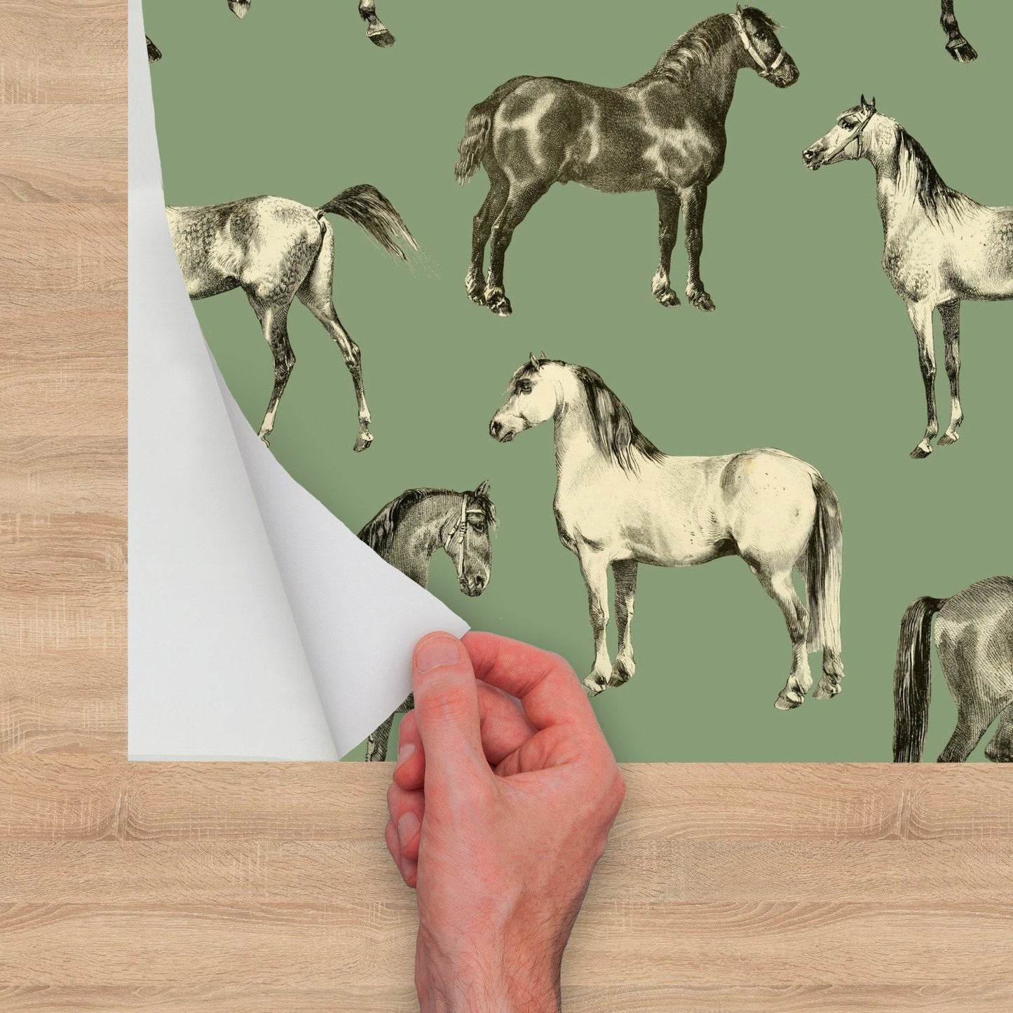 Horse Wallpaper, Farm Wall Decor