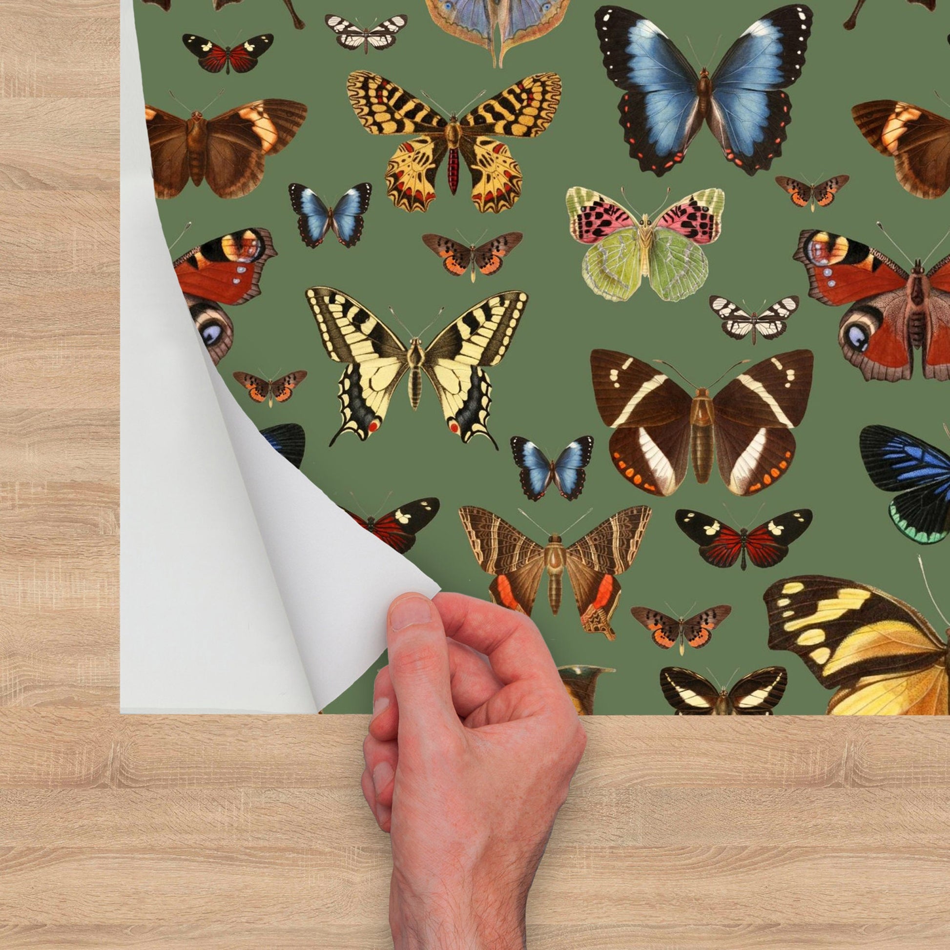 Botanical Green Peel and Stick Wallpaper with Butterflies