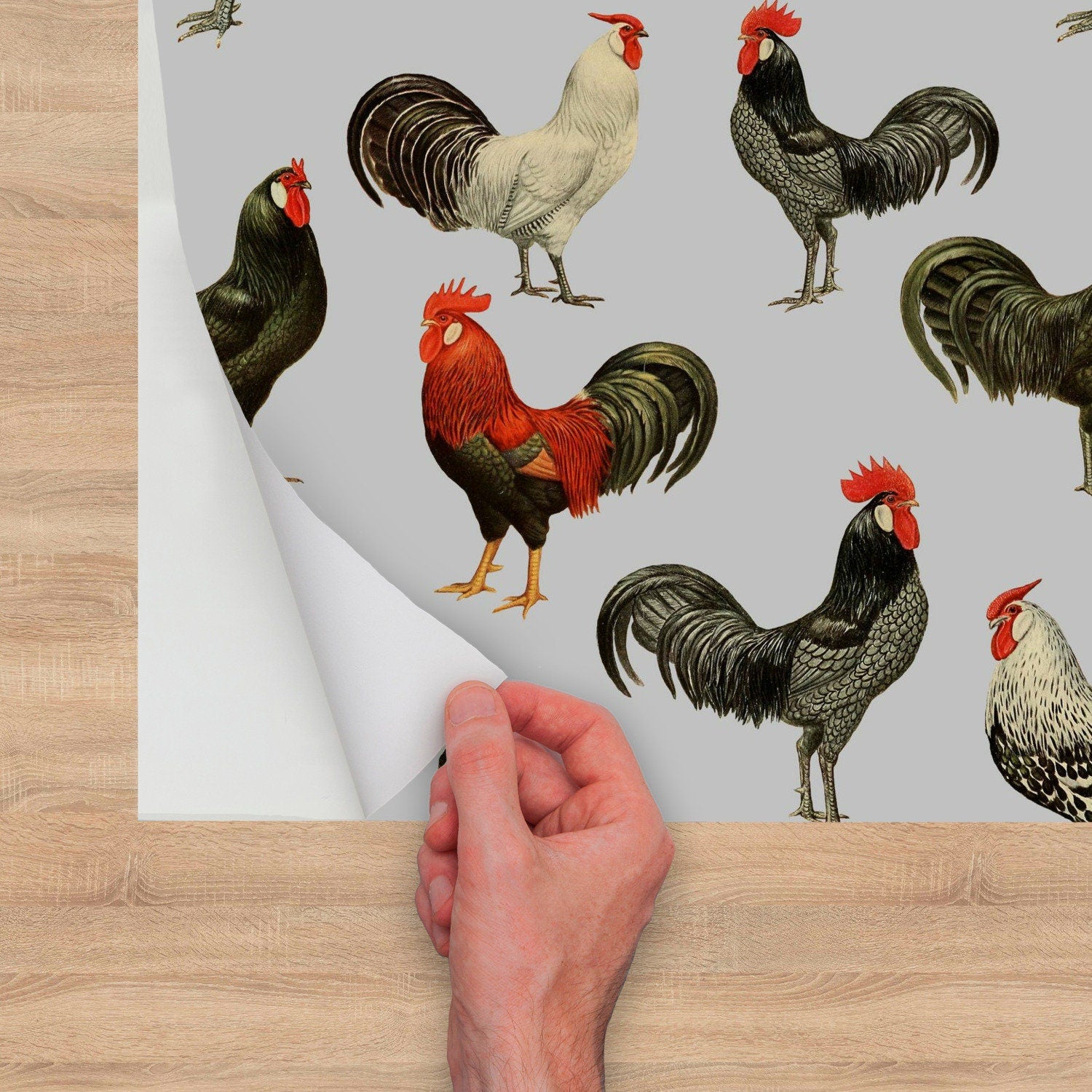 Rooster Farmhouse Peel and Stick Wallpaper