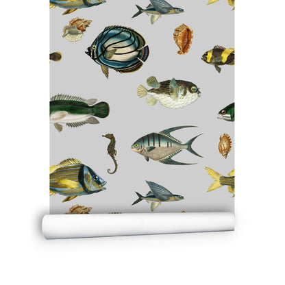 Sea Wallpaper with Fish