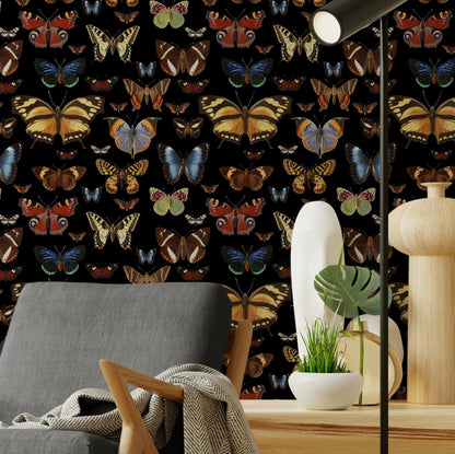 Bright Butterflies on Black Wallpaper