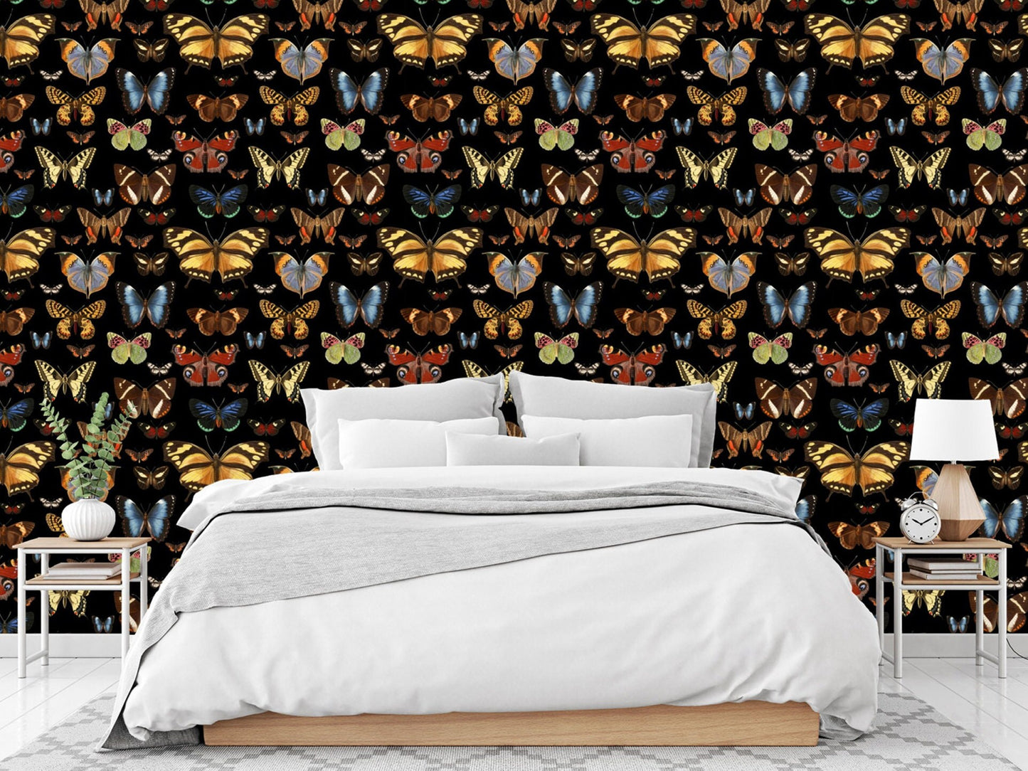 Bright Butterflies on Black Wallpaper