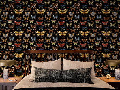 Bright Butterflies on Black Wallpaper