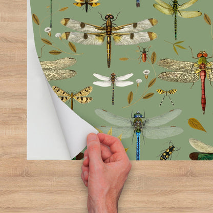 Green Wallpaper with Dragonfly