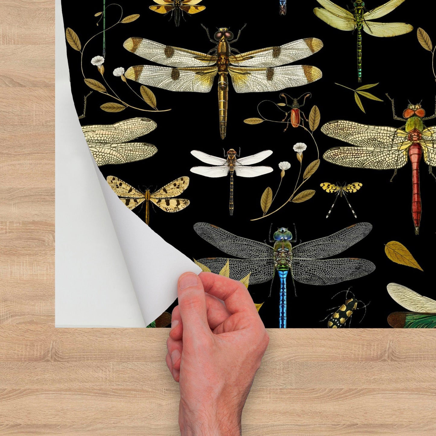 Black Wallpaper Peel and Stick with Dragonflies