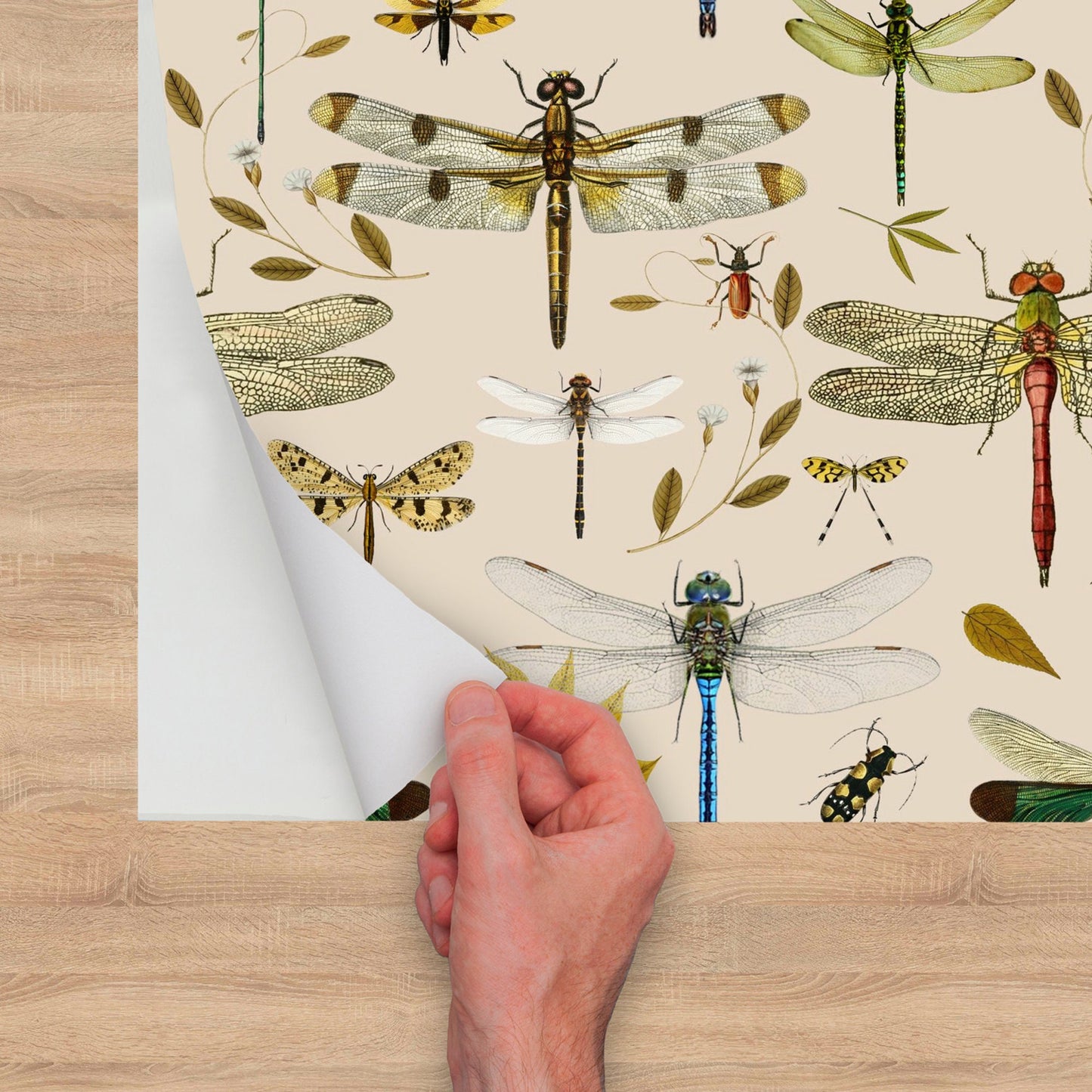 Dragonfly Botanical Peel and Stick Wallpaper